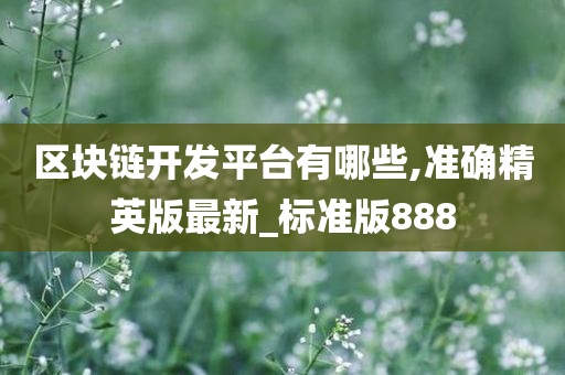 区块链开发平台有哪些,准确精英版最新_标准版888