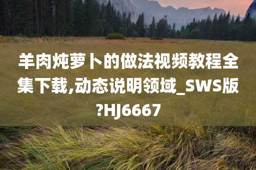 羊肉炖萝卜的做法视频教程全集下载,动态说明领域_SWS版?HJ6667