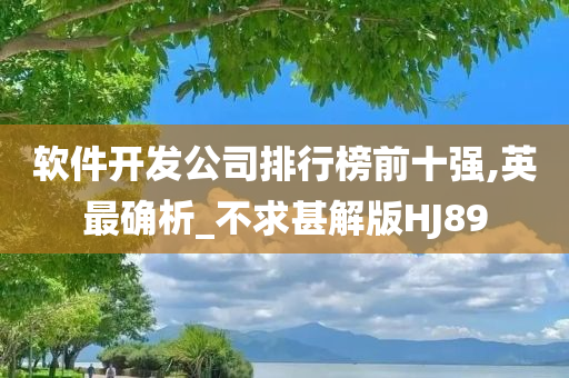 软件开发公司排行榜前十强,英最确析_不求甚解版HJ89