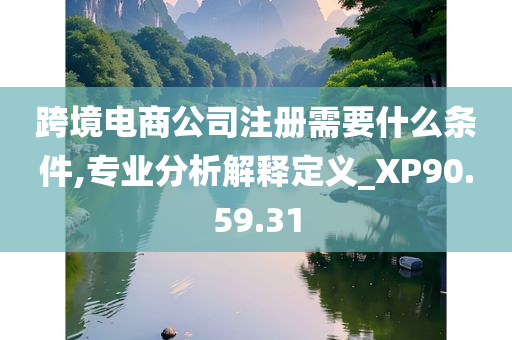 跨境电商公司注册需要什么条件,专业分析解释定义_XP90.59.31