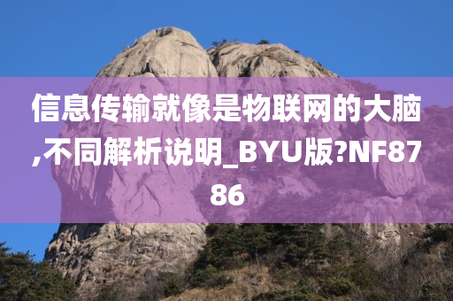 信息传输就像是物联网的大脑,不同解析说明_BYU版?NF8786