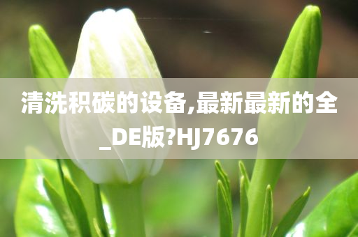 清洗积碳的设备,最新最新的全_DE版?HJ7676