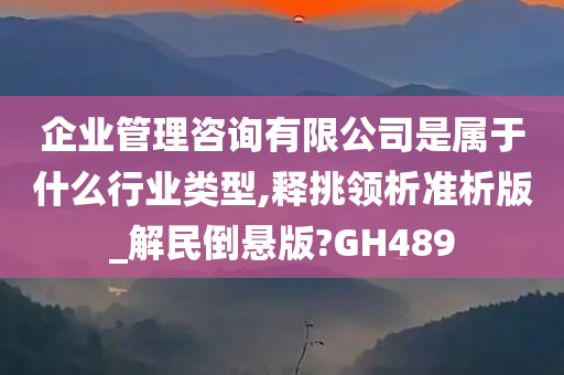 企业管理咨询有限公司是属于什么行业类型,释挑领析准析版_解民倒悬版?GH489