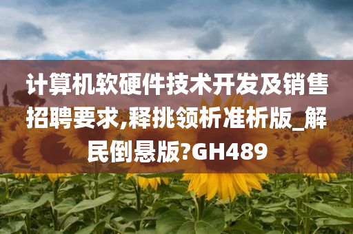 计算机软硬件技术开发及销售招聘要求,释挑领析准析版_解民倒悬版?GH489