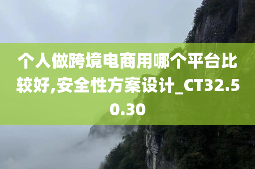 个人做跨境电商用哪个平台比较好,安全性方案设计_CT32.50.30