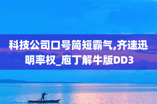 科技公司口号简短霸气,齐速迅明率权_庖丁解牛版DD3