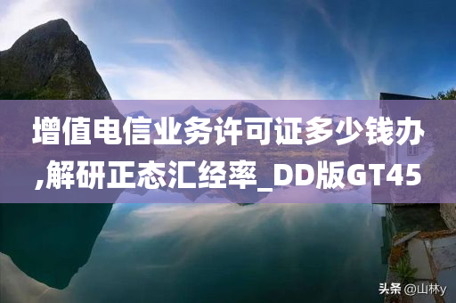 增值电信业务许可证多少钱办,解研正态汇经率_DD版GT45