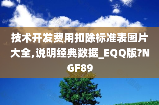 技术开发费用扣除标准表图片大全,说明经典数据_EQQ版?NGF89