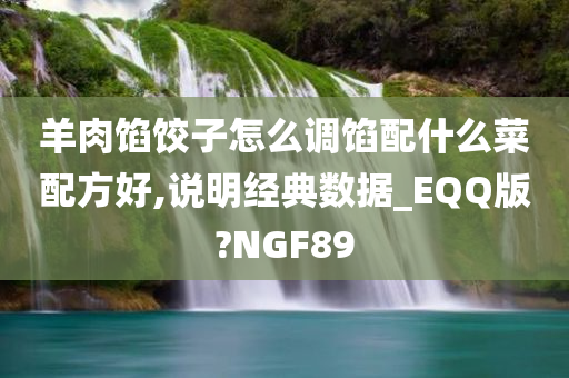 羊肉馅饺子怎么调馅配什么菜配方好,说明经典数据_EQQ版?NGF89