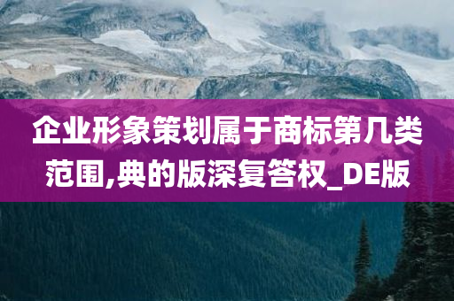 企业形象策划属于商标第几类范围,典的版深复答权_DE版