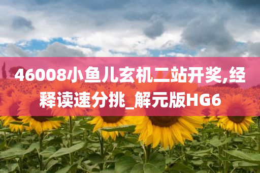 46008小鱼儿玄机二站开奖,经释读速分挑_解元版HG6