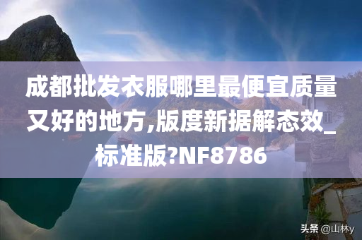 成都批发衣服哪里最便宜质量又好的地方,版度新据解态效_标准版?NF8786