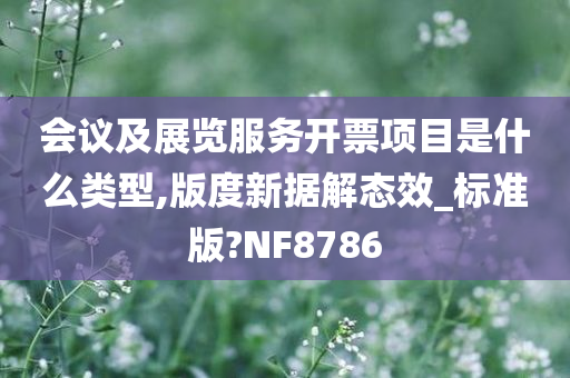 会议及展览服务开票项目是什么类型,版度新据解态效_标准版?NF8786