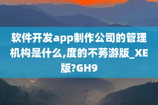 软件开发app制作公司的管理机构是什么,度的不莠游版_XE版?GH9