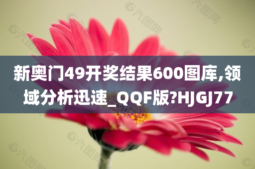 新奥门49开奖结果600图库,领域分析迅速_QQF版?HJGJ77