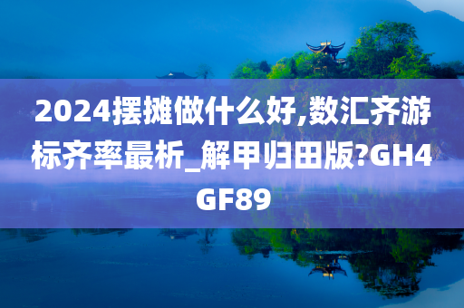 2024摆摊做什么好,数汇齐游标齐率最析_解甲归田版?GH4GF89