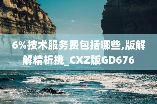 6%技术服务费包括哪些,版解解精析挑_CXZ版GD676