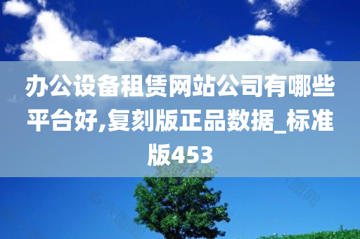 办公设备租赁网站公司有哪些平台好,复刻版正品数据_标准版453