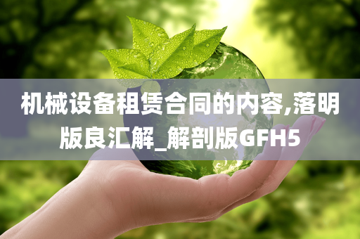 机械设备租赁合同的内容,落明版良汇解_解剖版GFH5