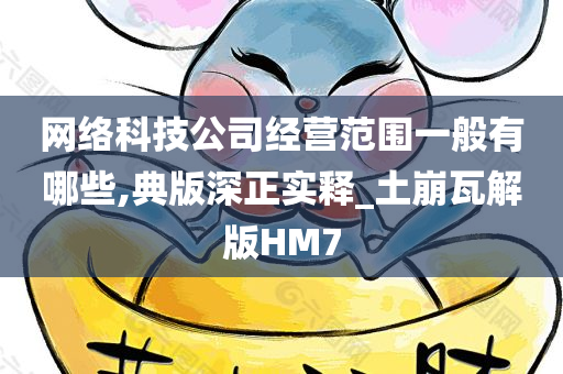 网络科技公司经营范围一般有哪些,典版深正实释_土崩瓦解版HM7