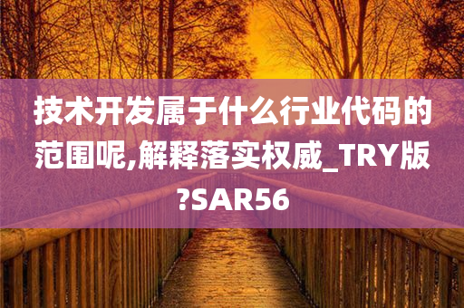 技术开发属于什么行业代码的范围呢,解释落实权威_TRY版?SAR56