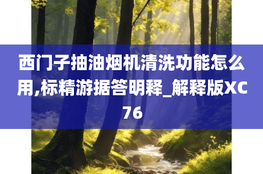 西门子抽油烟机清洗功能怎么用,标精游据答明释_解释版XC76