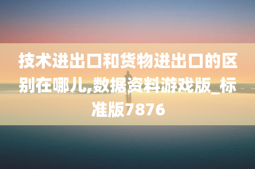 技术进出口和货物进出口的区别在哪儿,数据资料游戏版_标准版7876