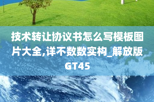 技术转让协议书怎么写模板图片大全,详不数数实构_解放版GT45