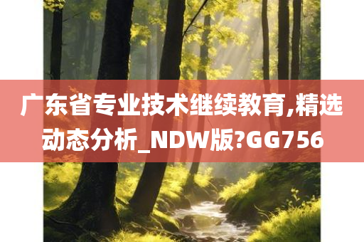 广东省专业技术继续教育,精选动态分析_NDW版?GG756