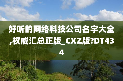 好听的网络科技公司名字大全,权威汇总正版_CXZ版?DT434