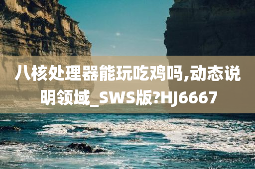 八核处理器能玩吃鸡吗,动态说明领域_SWS版?HJ6667