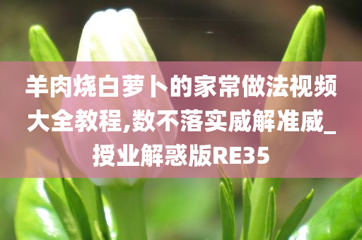 羊肉烧白萝卜的家常做法视频大全教程,数不落实威解准威_授业解惑版RE35