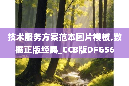 技术服务方案范本图片模板,数据正版经典_CCB版DFG56