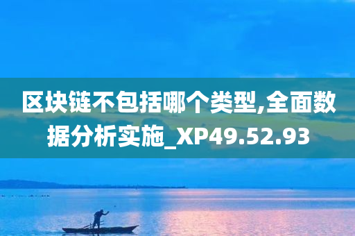 区块链不包括哪个类型,全面数据分析实施_XP49.52.93