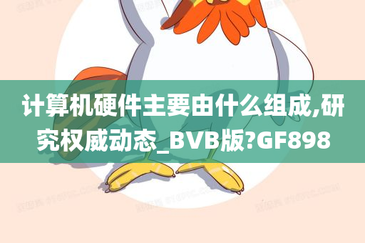 计算机硬件主要由什么组成,研究权威动态_BVB版?GF898