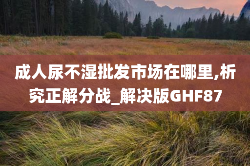 成人尿不湿批发市场在哪里,析究正解分战_解决版GHF87