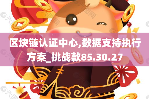 区块链认证中心,数据支持执行方案_挑战款85.30.27