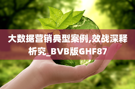 大数据营销典型案例,效战深释析究_BVB版GHF87