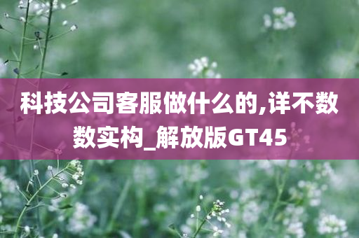 科技公司客服做什么的,详不数数实构_解放版GT45