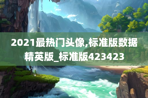 2021最热门头像,标准版数据精英版_标准版423423