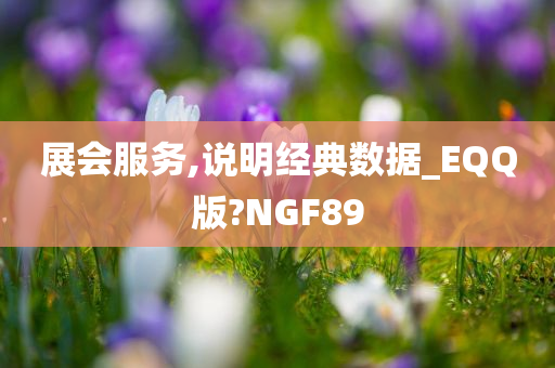 展会服务,说明经典数据_EQQ版?NGF89