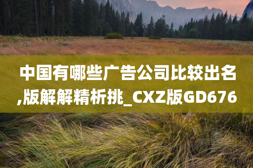 中国有哪些广告公司比较出名,版解解精析挑_CXZ版GD676