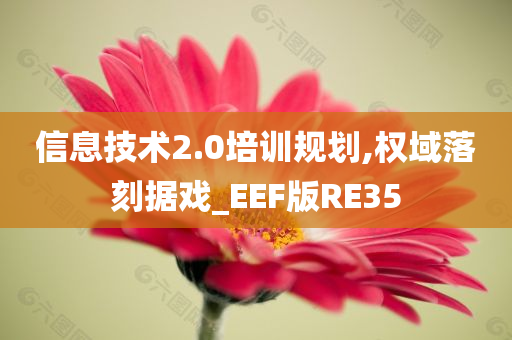 信息技术2.0培训规划,权域落刻据戏_EEF版RE35