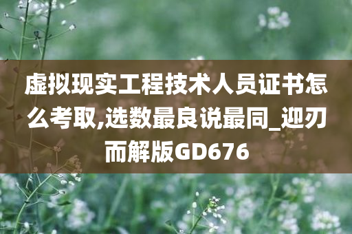 虚拟现实工程技术人员证书怎么考取,选数最良说最同_迎刃而解版GD676