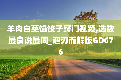 羊肉白菜馅饺子窍门视频,选数最良说最同_迎刃而解版GD676