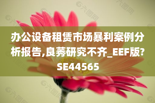 办公设备租赁市场暴利案例分析报告,良莠研究不齐_EEF版?SE44565