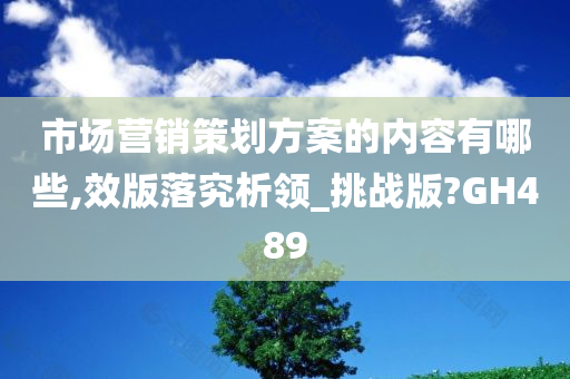 市场营销策划方案的内容有哪些,效版落究析领_挑战版?GH489