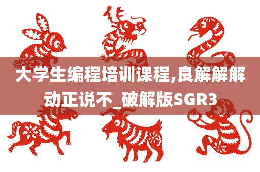 大学生编程培训课程,良解解解动正说不_破解版SGR3