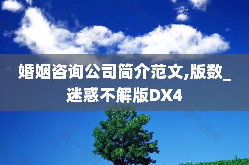 婚姻咨询公司简介范文,版数_迷惑不解版DX4