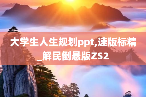 大学生人生规划ppt,速版标精_解民倒悬版ZS2